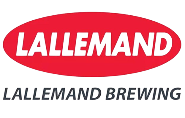 Untitled-4-2-removebg-preview